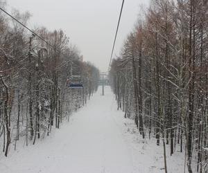 Elka w Parku Śląskim. Widok z góry