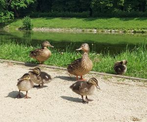 Park Miejski w Zamościu