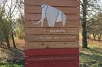 Park Mamuta na Oporowie gotowy