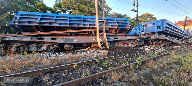 Wykoleiło się sześć wagonów pociągu towarowego   