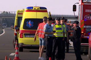 Wypadek w Chorwacji. Ranni Polacy wrócili do kraju
