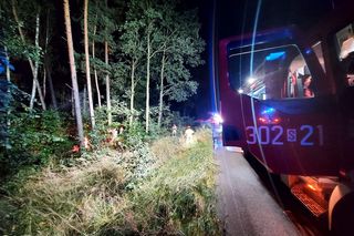 Wypadek na S1 w Katowicach. Samochód wypadł z drogi i stanął w płomieniach!