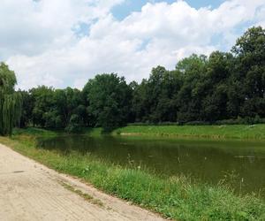 Lato w Parku miejskim w Zamościu 