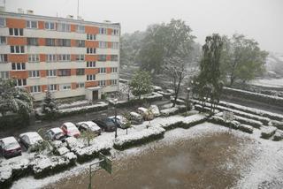 Chojnów - śnieg padający w maju
