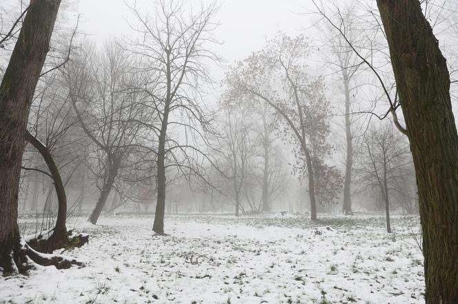 Park Ludowy w Lublinie skąpany we mgle