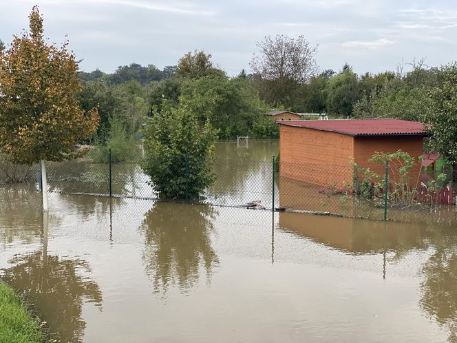 Wrocław - woda przy osiedlu na Stabłowicach 