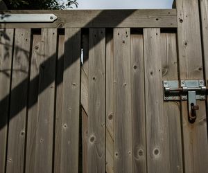 Atak bernardyna na 11-latkę. Jak pies wydostał się z posesji?