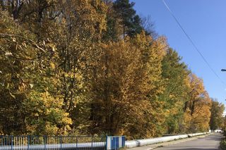 Rezerwat Grapa w Żywcu