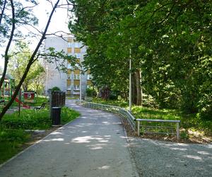 Tak wygląda park w dolinie Ślepiotki w Katowicach