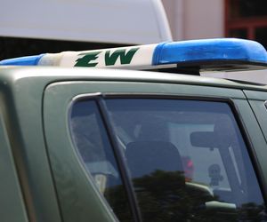 Wyrzutnia rakiet w lesie pod Warszawą. Nie ma zagrożenia
