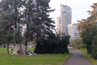 Śmieci i bezdomni w parku w centrum Gdyni