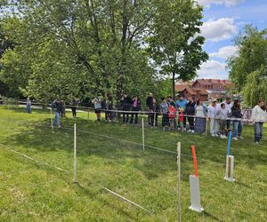 Festiwal Przyjaciół Zwierząt w Olsztynie. Park Centralny opanowały radosne pieski