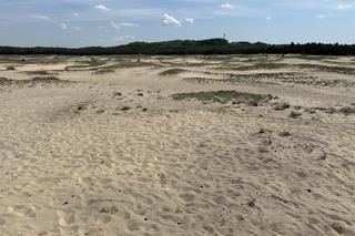 Największa pustynia w Europie leży w Małopolsce. „Róża Wiatrów” turystycznym hitem