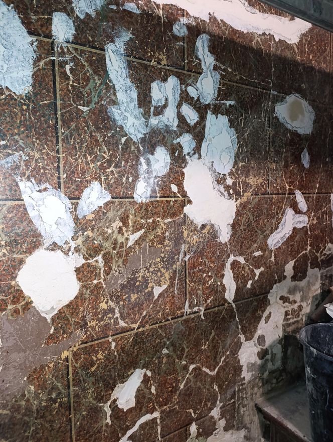 Renowacja kamienicy przy ul. Cybulskiego 19, Wrocław