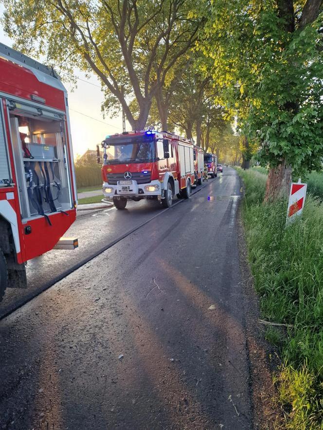 Tragiczny finał pożaru pod Tczewem. Amelka i Małgosia zginęły w płomieniach