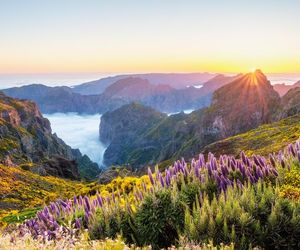 Nawet w listopadzie powietrze pachnie wiosną. Ta wyspa jest idealna na romantyczny wypad we dwoje