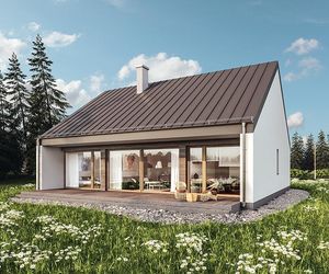 C365d Przejrzysty – wariant IV