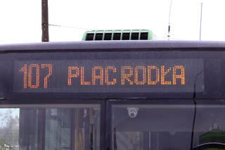 Nietypowa zguba w autobusie