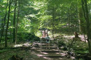 Roztoczański Park Narodowy - Bukowa Góra