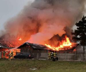 Pożar stajni w Częstochowie. Spłonęła całkowicie