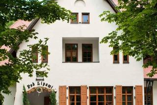 Mieszkańcy Śląska polecają restauracje z najlepszym żurem śląskim 