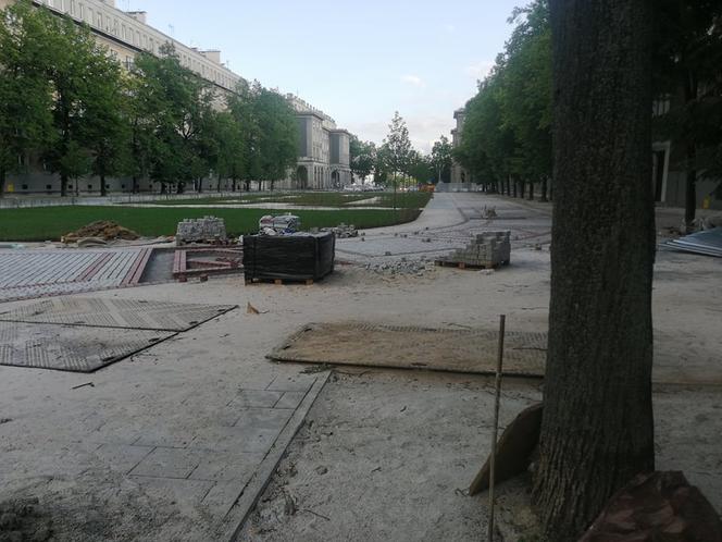 Kraków. Aleja Róż wkrótce w pełni zakwitnie! Prace remontowe są na finiszu