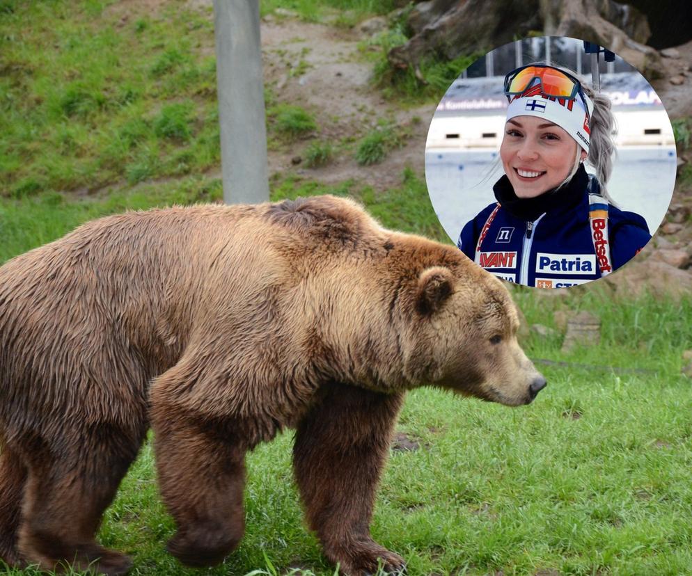 Erika Janka i spotkanie z niedźwiedziem 