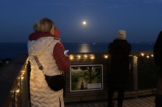 Uznamska Ścieżka w koronach drzew rozbłyśnie trzystoma tysiącami diod. Zobaczymy wyspę z wysokości w nowym świetle