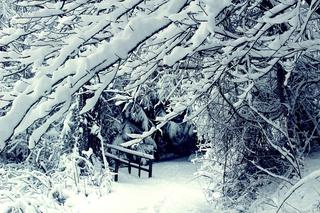 Załamanie pogody na Podkarpaciu: Wydano dwa ostrzeżenia meteorologiczne