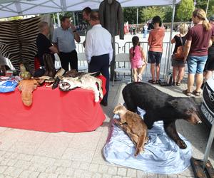 Defilada wojskowa w Katowicach i piknik. Wojewódzkie Obchody Święta Wojska Polskiego 2024