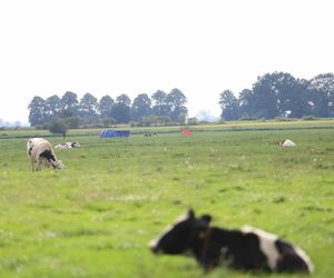 Rosyjski dron znaleziony w Oleśnie