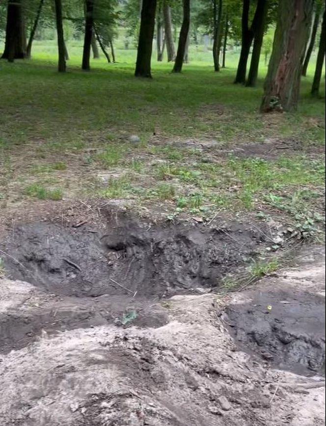 Urządzili sobie tor przeszkód w zabytkowym parku