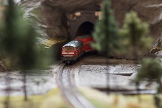 Wielka wystawa makiet kolejowych w Fordonie