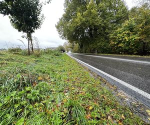 Łebieńska Huta. 10-latek zginął, bo trafił na szaleńca drogowego