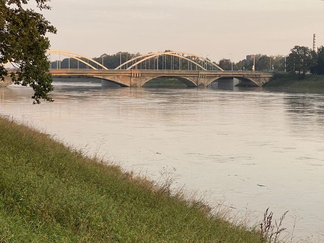 Powódź we Wrocławiu. Tak wygląda Odra w czwartek 19.09.2024 