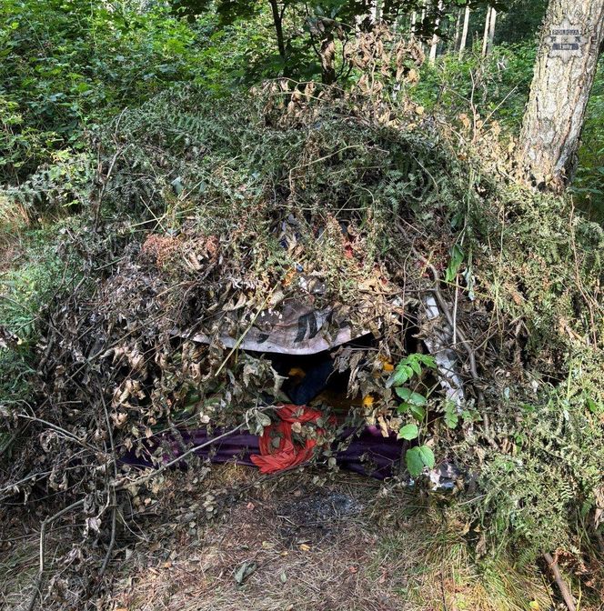 Poszukiwany 45-latek przez kilka miesięcy ukrywał się w Lesie Murckowskim