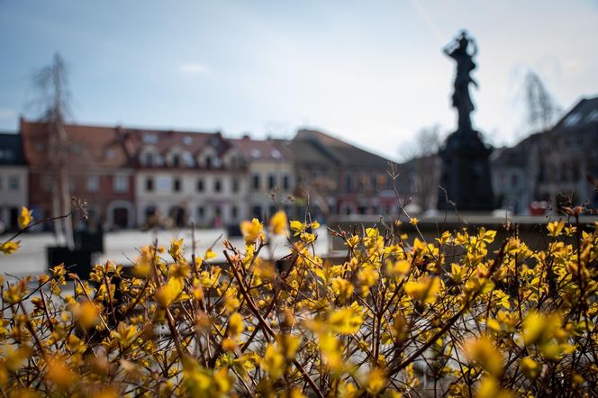 6. Powiat myślenicki