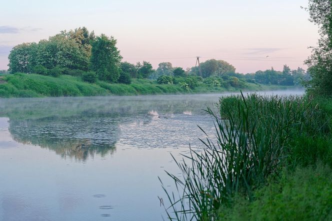 Bajm nakręcił kultowy teledysk w Małopolsce. Powstał nad zalewem nieopodal Krakowa