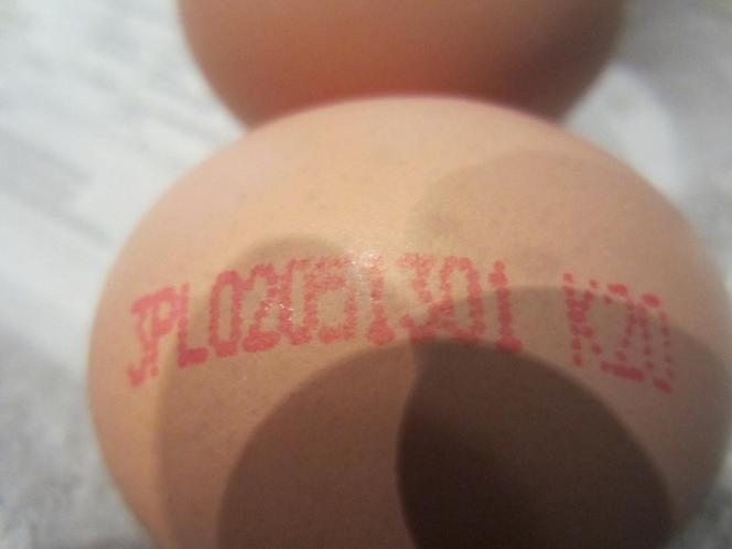 Obrzydliwe znalezisko w jajku kupionym we Wrocławiu