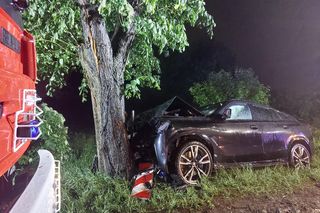 Piekary Śląskie. Kierujący BMW wjechał w przydrożne drzewo