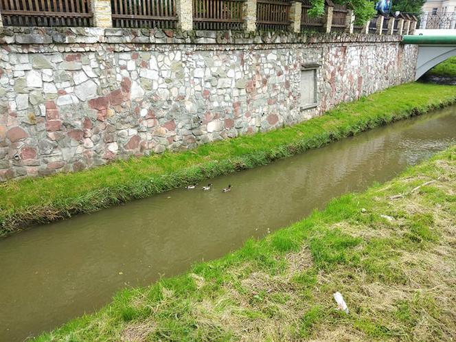 Sytuacja hydrologiczna w Tarnowie. Czy grozi nam powódź?