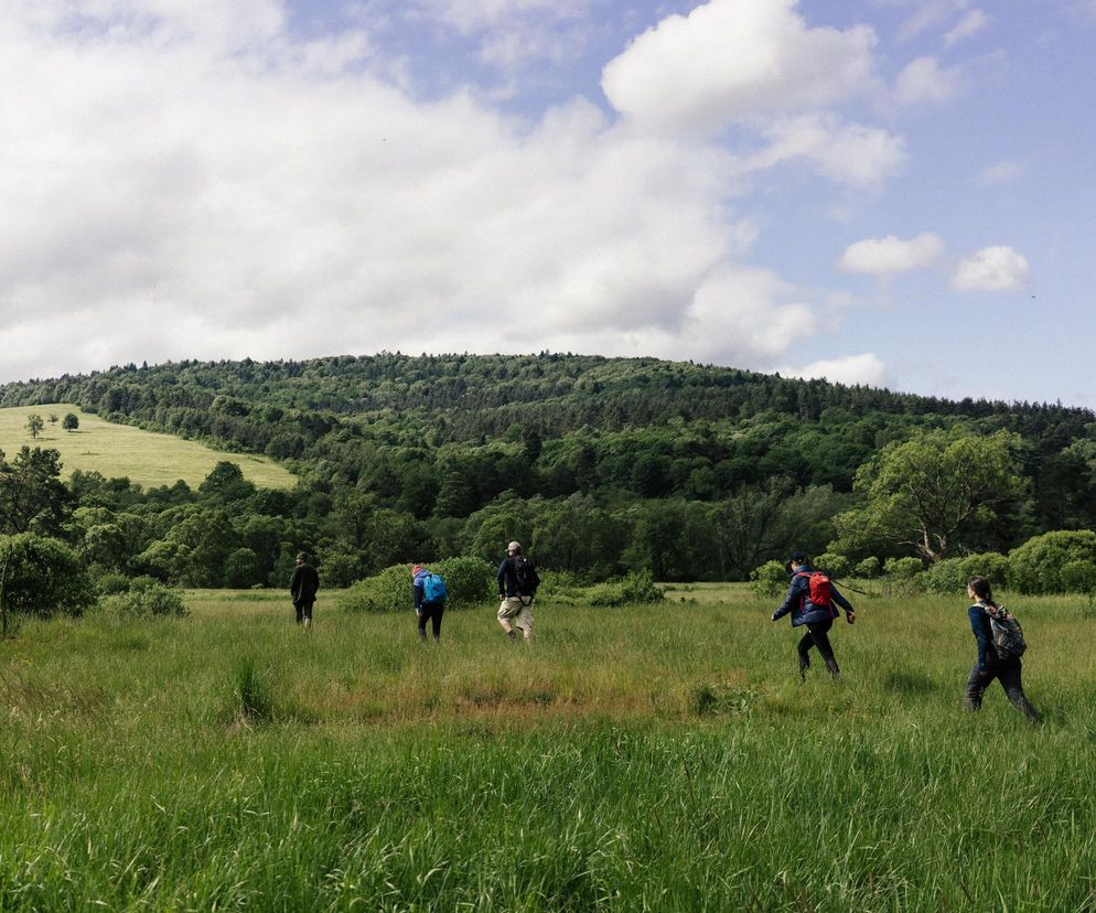 Beskid Niski