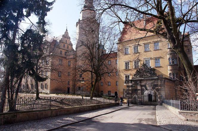 Zamek Oleśnicki