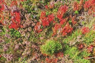 Tatry jesienią 2025