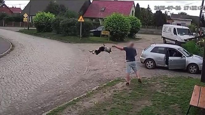 Złapał psa i rzucił nim o ziemię. Wstrząsające nagranie obiegło sieć