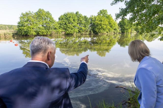 Minister Moskwa walczy ze złotą algą