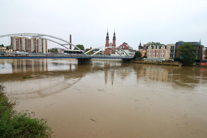 Powódź w Opolu. Stan Odry w środę, 18.09.2024 