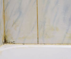 Wymieszaj z wodą 1:1. Wyżre pleśń z silikonu wokół prysznica w łazience bez chemii. Sposób na pleśń