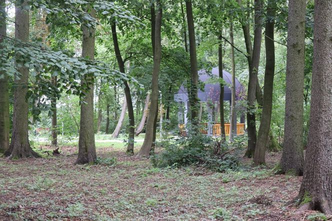 Zabytkowy park pod Lubawą zmienił się nie do poznania. Teraz wygląda jak z bajki