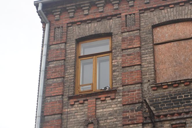 Opuszczona zabytkowa kamienica przy ul. Sienkiewicza w Białymstoku